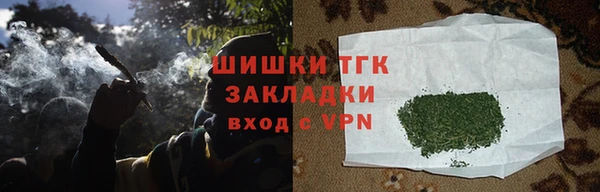 индика Арсеньев