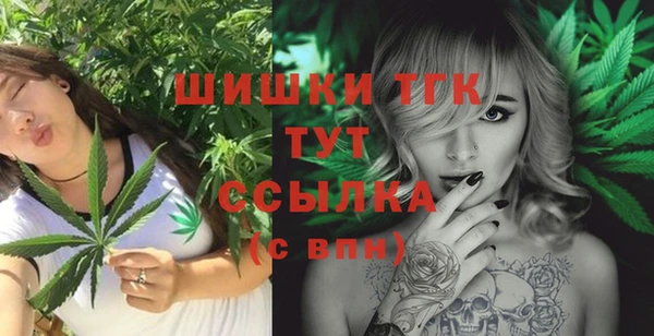 индика Арсеньев