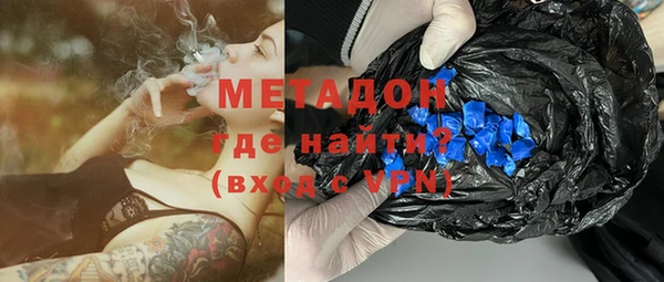 индика Арсеньев