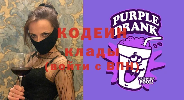 индика Арсеньев