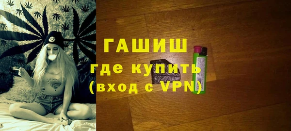 индика Арсеньев