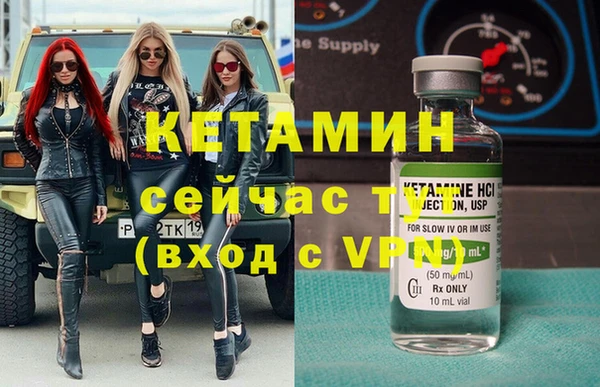 индика Арсеньев